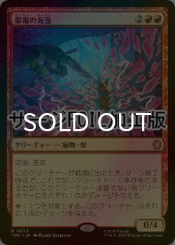 画像1: [FOIL] 帯電の海藻/Electric Seaweed (サージ仕様) 【日本語版】 [TMC-赤R]