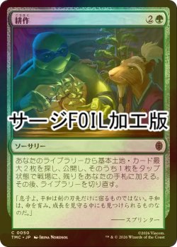 画像1: [FOIL] 耕作/Cultivate (サージ仕様) 【日本語版】 [TMC-緑C]