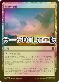 画像1: [FOIL] 灰のやせ地/Ash Barrens (サージ仕様) 【日本語版】 [TMC-土地C]