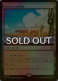 [FOIL] 燃えがらの林間地/Cinder Glade (サージ仕様) 【日本語版】 [TMC-土地R]