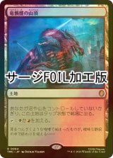 [FOIL] 竜髑髏の山頂/Dragonskull Summit (サージ仕様) 【日本語版】 [TMC-土地R]