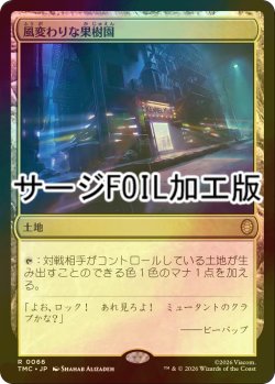 画像1: [FOIL] 風変わりな果樹園/Exotic Orchard (サージ仕様) 【日本語版】 [TMC-土地R]