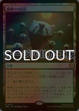 [FOIL] 根縛りの岩山/Rootbound Crag (サージ仕様) 【日本語版】 [TMC-土地R]