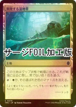画像1: [FOIL] 興隆する湿地帯/Thriving Moor (サージ仕様) 【日本語版】 [TMC-土地C]