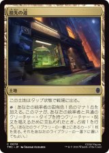 祖先の道/Path of Ancestry 【日本語版】 [TMC-土地C]