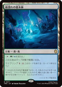画像1: 雨濡れの低木林/Rain-Slicked Copse 【日本語版】 [TMC-土地R]