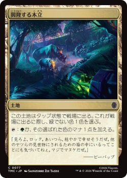 画像1: 興隆する木立/Thriving Grove 【日本語版】 [TMC-土地C]