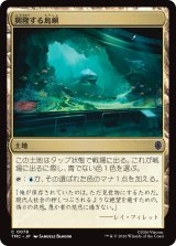 興隆する島嶼/Thriving Isle 【日本語版】 [TMC-土地C]