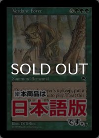新緑の魔力/Verdant Force (TMP/緑R/日/通常/NM) ※詳細要確認