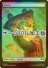 [FOIL] 森/Forest No.314 (全面アート版・サージ仕様) 【英語版】 [TMT-土地C]