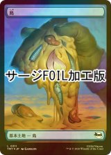 [FOIL] 島/Island No.311 (全面アート版・サージ仕様) 【日本語版】 [TMT-土地C]