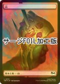 [FOIL] 山/Mountain No.313 (全面アート版・サージ仕様) 【日本語版】 [TMT-土地C]