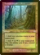 汚れた森/Tainted Wood (TOR/土地U/英/foil/EX) ※詳細要確認