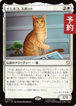 画像1: イエネコ、スポット/Spot, Felis catus 【日本語版】 [TRC-白R] (予約J)