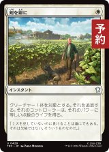 剣を鍬に/Swords to Plowshares 【日本語版】 [TRC-白U] (予約J)