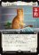画像1: イエネコ、スポット/Spot, Felis catus (拡張アート版) 【日本語版】 [TRC-白R] (予約K) (1)