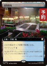 灌漑農地/Irrigated Farmland (拡張アート版) 【日本語版】 [TRC-土地R] (予約J)