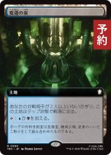 変遷の泉/Morphic Pool (拡張アート版) 【日本語版】 [TRC-土地R] (予約J)