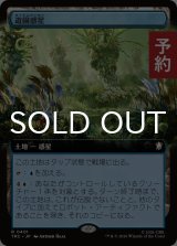 遊園惑星/Shore Leave Planet (拡張アート版) 【日本語版】 [TRC-土地R] (予約J)