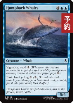 画像1: ザトウクジラ/Humpback Whales 【英語版】 [TRK-青C] (予約J)