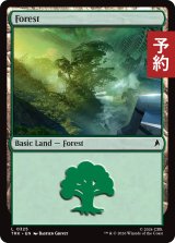 森/Forest No.325 【英語版】 [TRK-土地C] (予約J)
