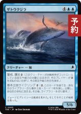 ザトウクジラ/Humpback Whales 【日本語版】 [TRK-青C] (予約J)
