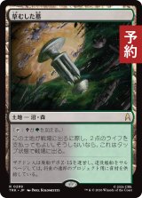 草むした墓/Overgrown Tomb 【日本語版】 [TRK-土地R] (予約J)