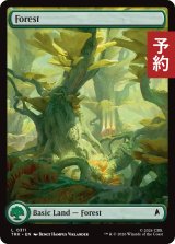 森/Forest No.311 (全面アート版) 【英語版】 [TRK-土地C] (予約J)