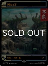 神聖なる泉/Hallowed Fountain (ショーケース版) 【日本語版】 [TRK-土地R] (予約J)