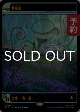 繁殖池/Breeding Pool (ショーケース版) 【日本語版】 [TRK-土地R] (予約J)
