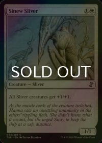 [FOIL] 筋力スリヴァー/Sinew Sliver 【英語版】 [TSR-白C]