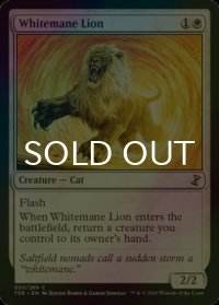 [FOIL] 白たてがみのライオン/Whitemane Lion 【英語版】 [TSR-白C]