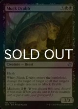 [FOIL] 泥ドラッブ/Muck Drubb 【英語版】 [TSR-黒U]