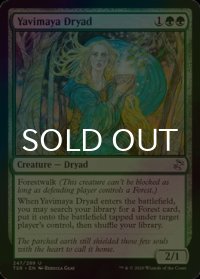 [FOIL] ヤヴィマヤのドライアド/Yavimaya Dryad 【英語版】 [TSR-緑U]