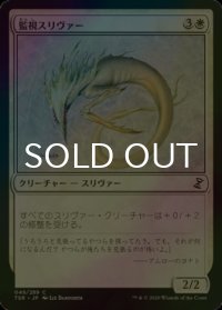 [FOIL] 監視スリヴァー/Watcher Sliver 【日本語版】 [TSR-白C]