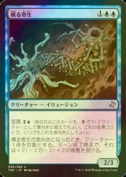 画像1: [FOIL] 模る寄生/Shaper Parasite 【日本語版】 [TSR-青U]