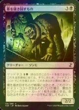 [FOIL] 墓を掻き回すもの/Grave Scrabbler 【日本語版】 [TSR-黒C]