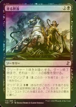 画像1: [FOIL] 滑る胆液/Ichor Slick 【日本語版】 [TSR-黒C]
