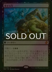 [FOIL] 死せる生/Living End 【日本語版】 [TSR-黒MR]