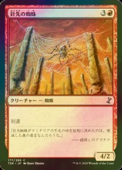 画像1: [FOIL] 針先の蜘蛛/Needlepeak Spider 【日本語版】 [TSR-赤C]