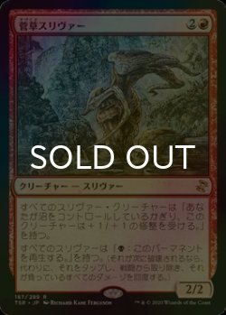 画像1: [FOIL] 菅草スリヴァー/Sedge Sliver 【日本語版】 [TSR-赤R]