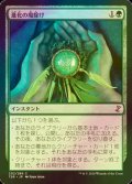 [FOIL] 進化の魔除け/Evolution Charm 【日本語版】 [TSR-緑C]