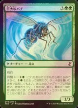 [FOIL] 巨大埃バチ/Giant Dustwasp 【日本語版】 [TSR-緑C]