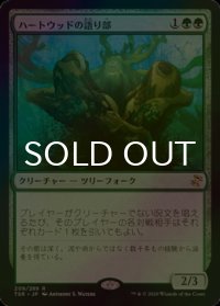 [FOIL] ハートウッドの語り部/Heartwood Storyteller 【日本語版】 [TSR-緑R]