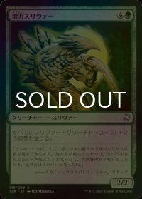 [FOIL] 増力スリヴァー/Might Sliver 【日本語版】 [TSR-緑U]