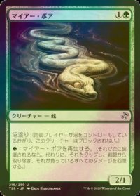 [FOIL] マイアー・ボア/Mire Boa 【日本語版】 [TSR-緑U]