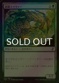 [FOIL] 紡績スリヴァー/Spinneret Sliver 【日本語版】 [TSR-緑C]