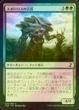 [FOIL] スポロロスの古茸/Sporoloth Ancient 【日本語版】 [TSR-緑C]