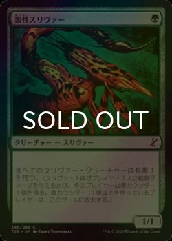 画像1: [FOIL] 悪性スリヴァー/Virulent Sliver 【日本語版】 [TSR-緑C]