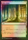 [FOIL] 菌類の到達地/Fungal Reaches 【日本語版】 [TSR-土地U]